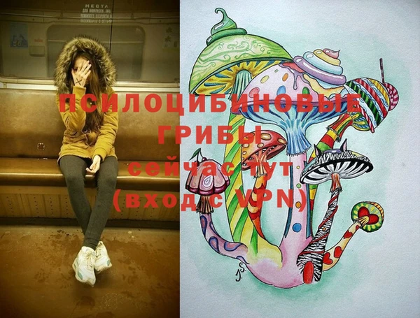 круглые Алзамай