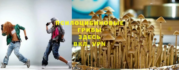 спиды Алексеевка