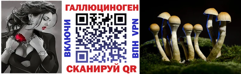 Галлюциногенные грибы прущие грибы  Тейково 