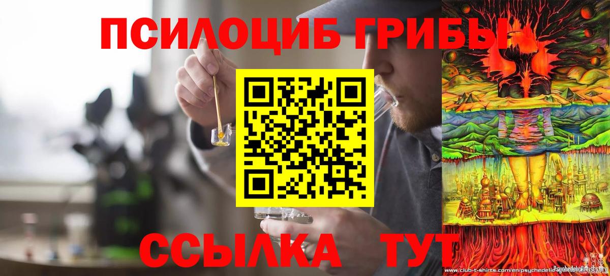 Галлюциногенные грибы прущие грибы Тейково
