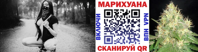 darknet как зайти  мега как зайти  Тейково  цена наркотик  Шишки марихуана сатива 